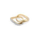 Ring Wave