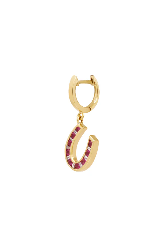 Luck Horse Shoe Earring