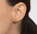 Crossed Arrow Studs