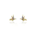  Hummingbird Motif Studs