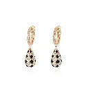 The Enchanted Earring