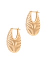 Flat Ray Hoops