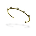 5 Flower Bangle