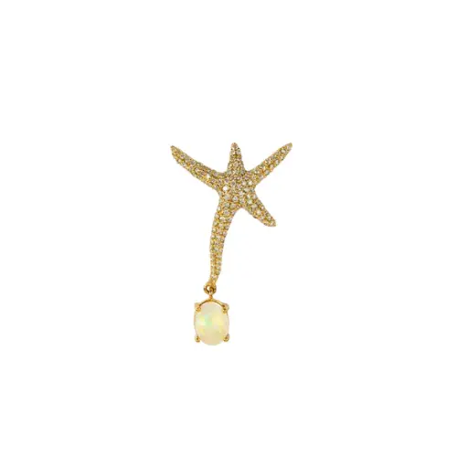 [KL-CONSSTRFSHER] Starfish Earring