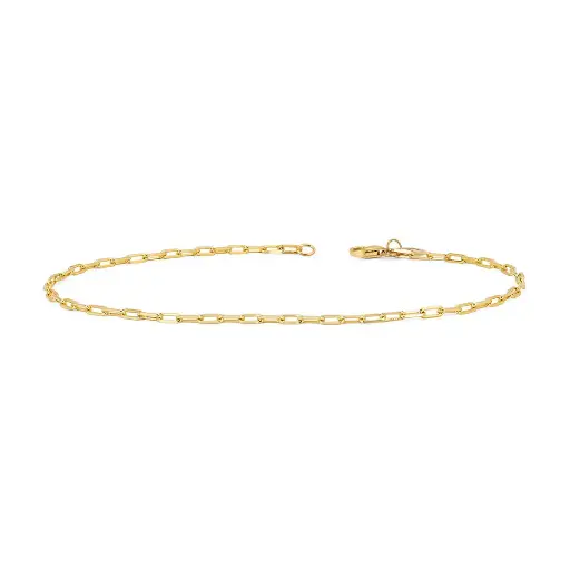 [BBYALCANKLT10] Baby Alchemy Link Anklet