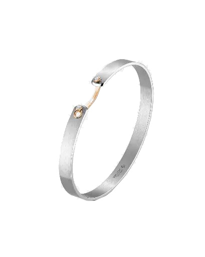 Paris From The Sky Gm Mood Bangle In Rose Gold