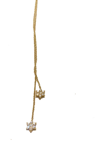 [RM-2FLWRNKL] 2 Flower Necklace