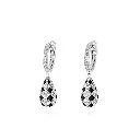 The Enchanted Earring